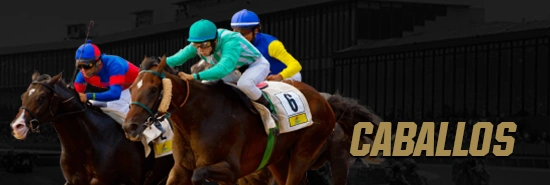 caballos